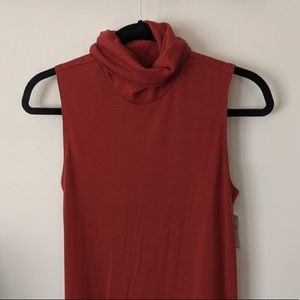 Turtleneck Dress Perfect for Fall